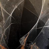 LA TOILE D'ARAIGNÉE...