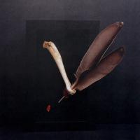 L'OISEAU, L'OS ET LA PLUME