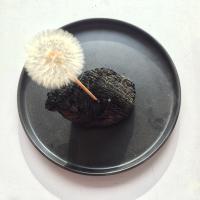 CHARBON DE BOIS ET PISSENLIT 2