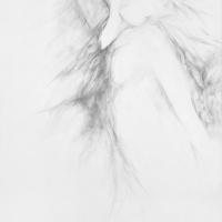 émergence 1 Mine de plomb 2001 65x50